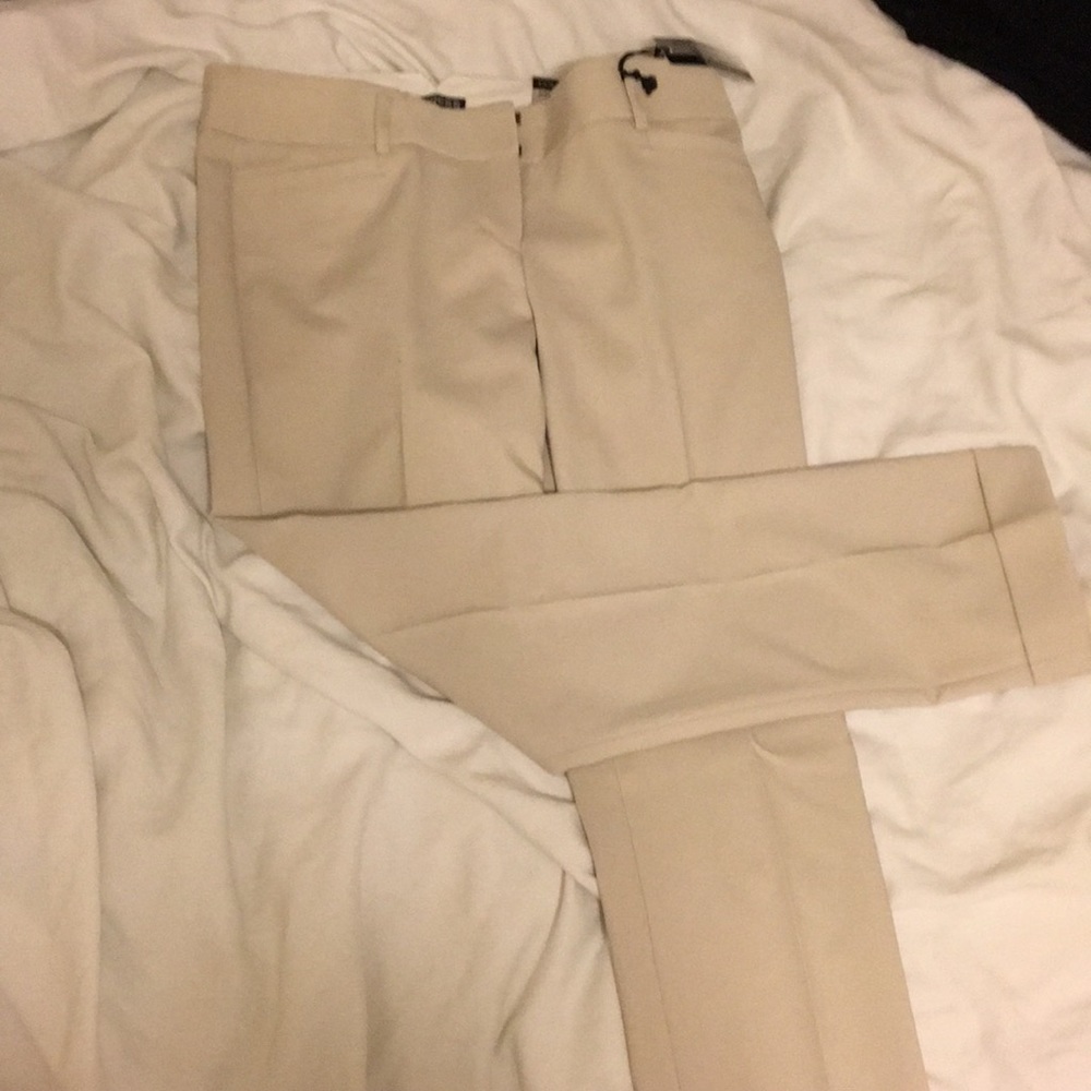 NWT Express Columnist Pants